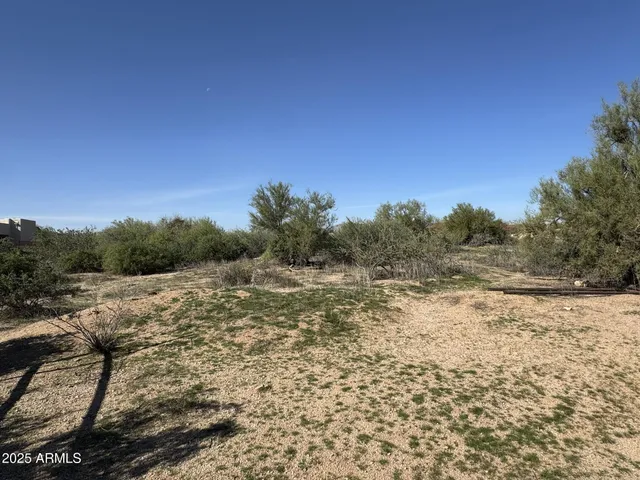 a view of a yard with an outdoor space