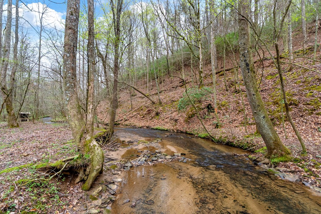 2879 Rodgers Creek Road Ellijay, GA 30540 - Photo 8 of 22 Gallery Image 8