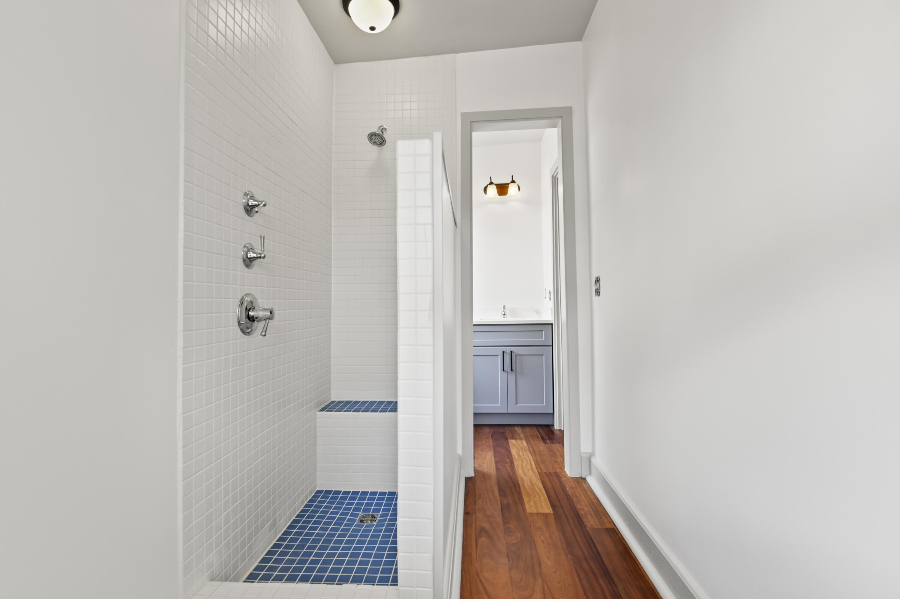 21 Savage Street Charleston, SC 29401 - Photo 27 of 49 _DSC3277