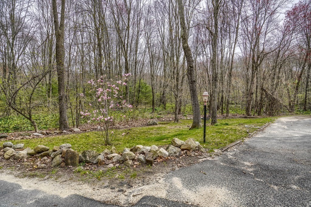 44 Glendale Road Boxford, MA 01921 - Photo 42 of 42 a view of a park with large trees