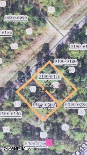 139 Georgetown Denver Road Georgetown, FL 32139 - Photo 16 of 16 LOT AERIAL VIEW