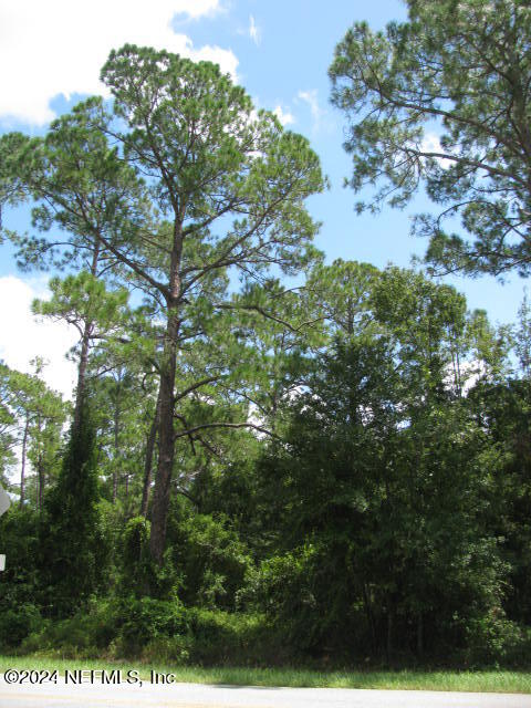 139 Georgetown Denver Road Georgetown, FL 32139 - Photo 2 of 16 LAND VIEW IMG_0013