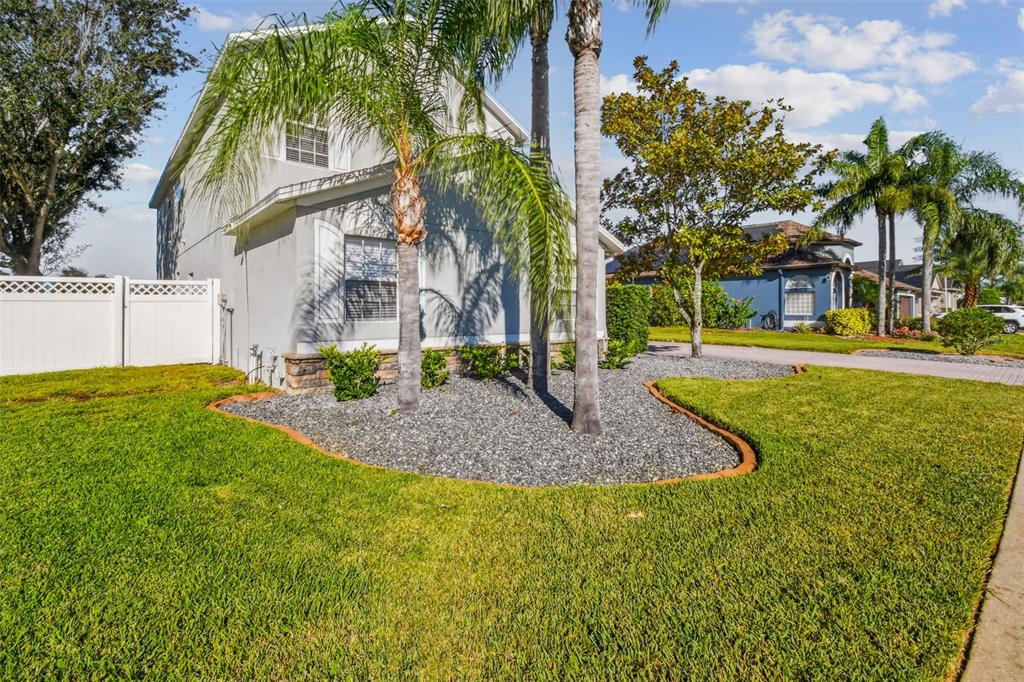 4603 Walnut Ridge Road Land O' Lakes, FL 34638 - Photo 93 of 95 Gallery Image 93