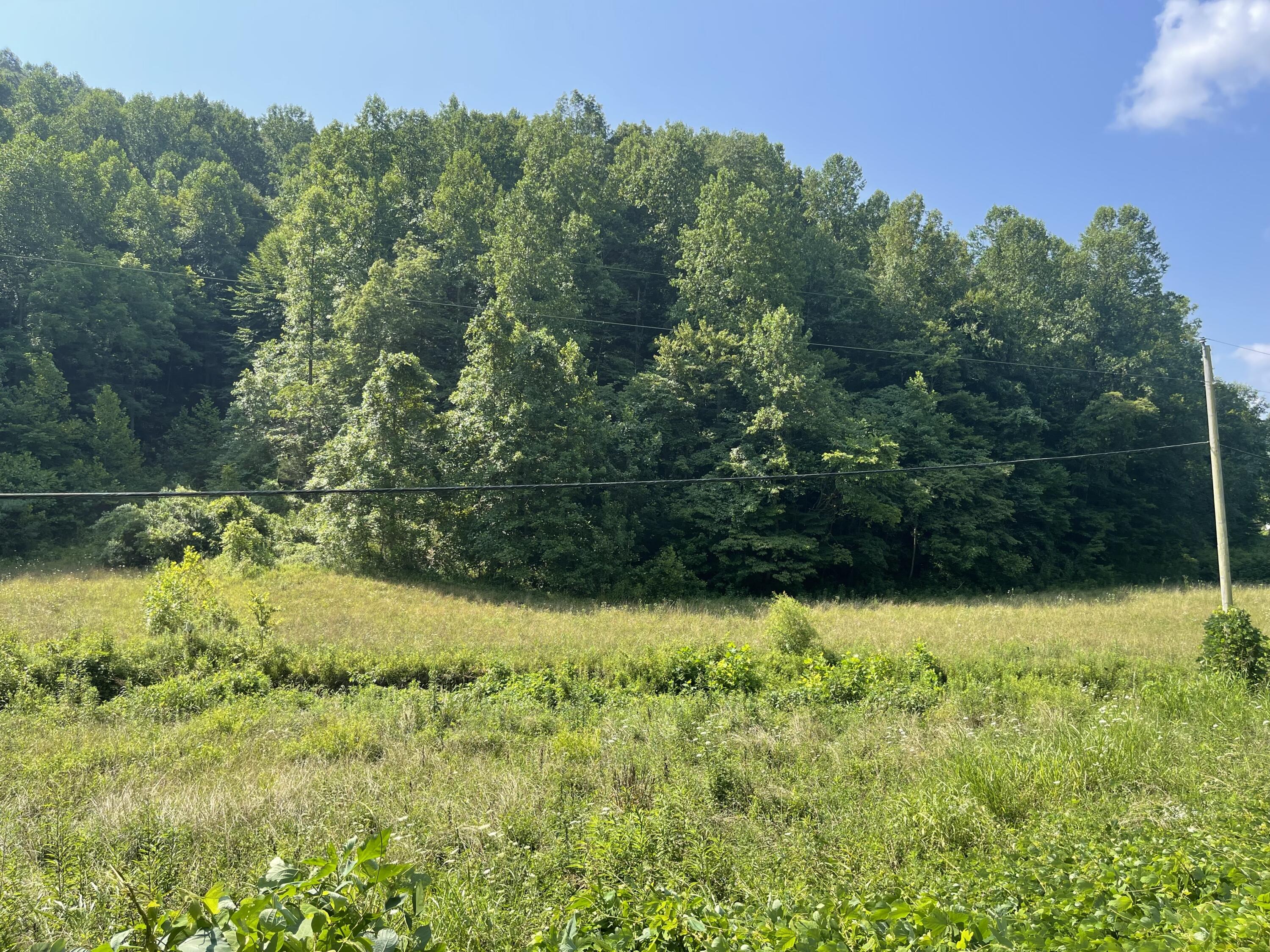 9999 Jeffs Creek Road Scalf, KY 40982 - Photo 5 of 5 IMG-7184
