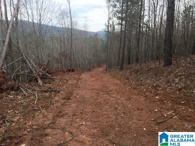 5300 Idaho Road, Unit 200 Talladega, AL 35160 - Photo 14 of 14