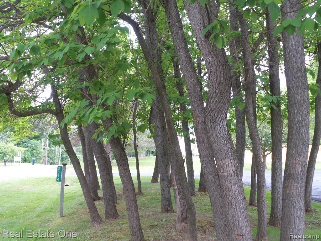 3894 Lippincott Road Lapeer, MI 48446 - Photo 32 of 34 Rolling countryside