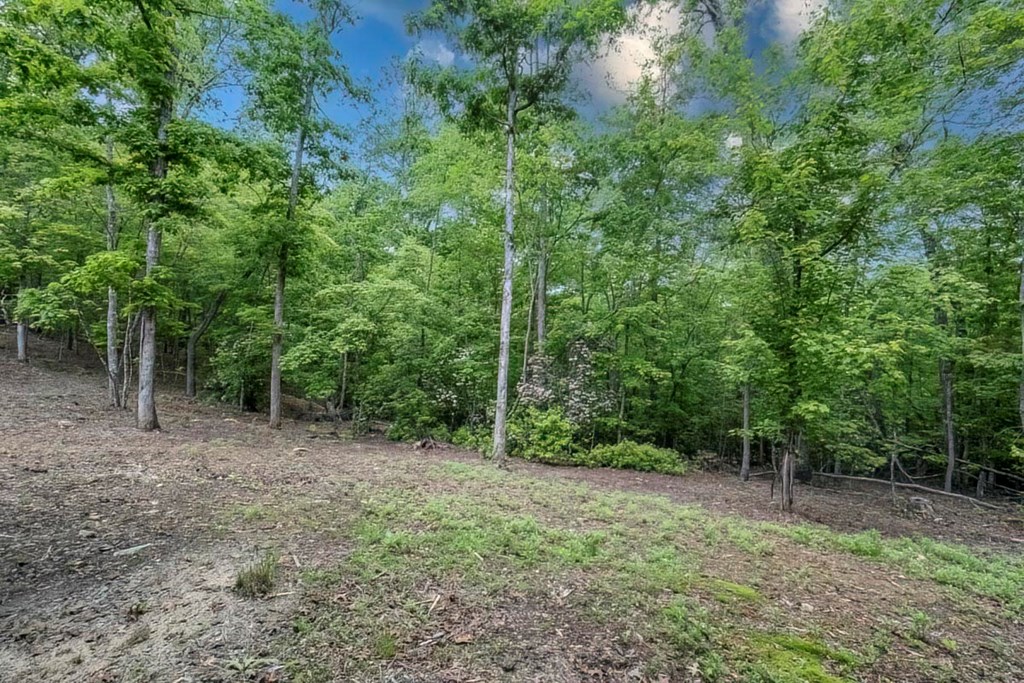 1085 Dills Road Blue Ridge, GA 30513 - Photo 46 of 54 Gallery Image 46