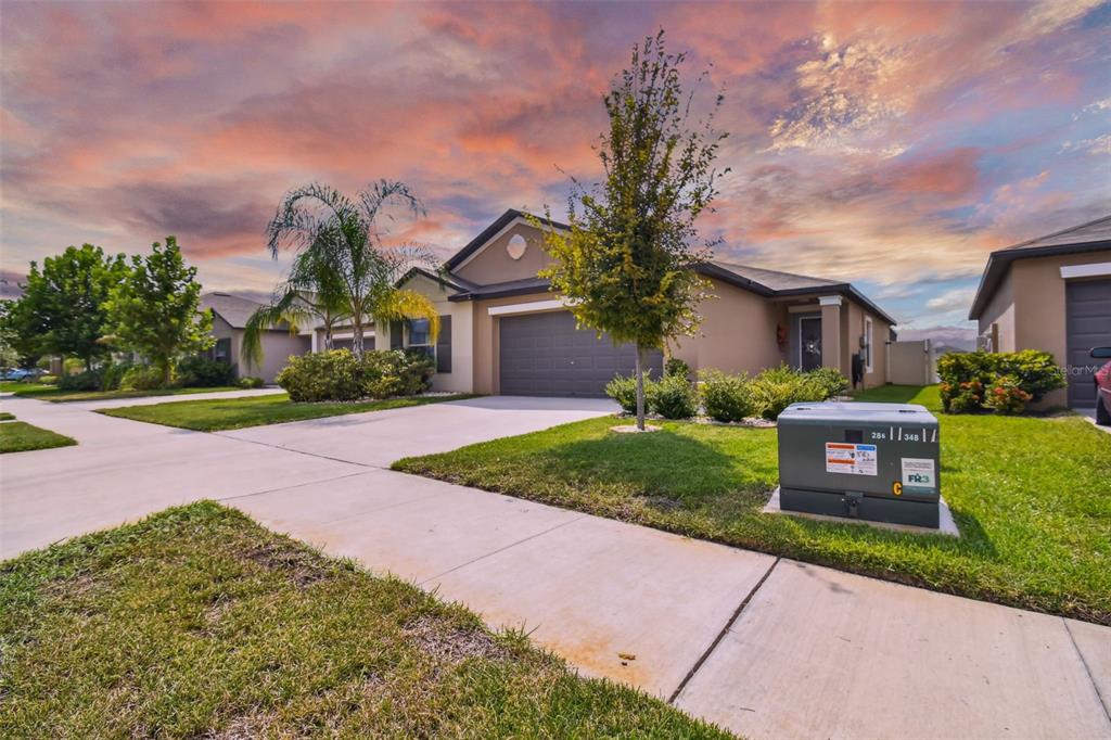 9649 Lemon Drop Loop Ruskin, FL 33573 - Photo 1 of 1 Gallery Image 1