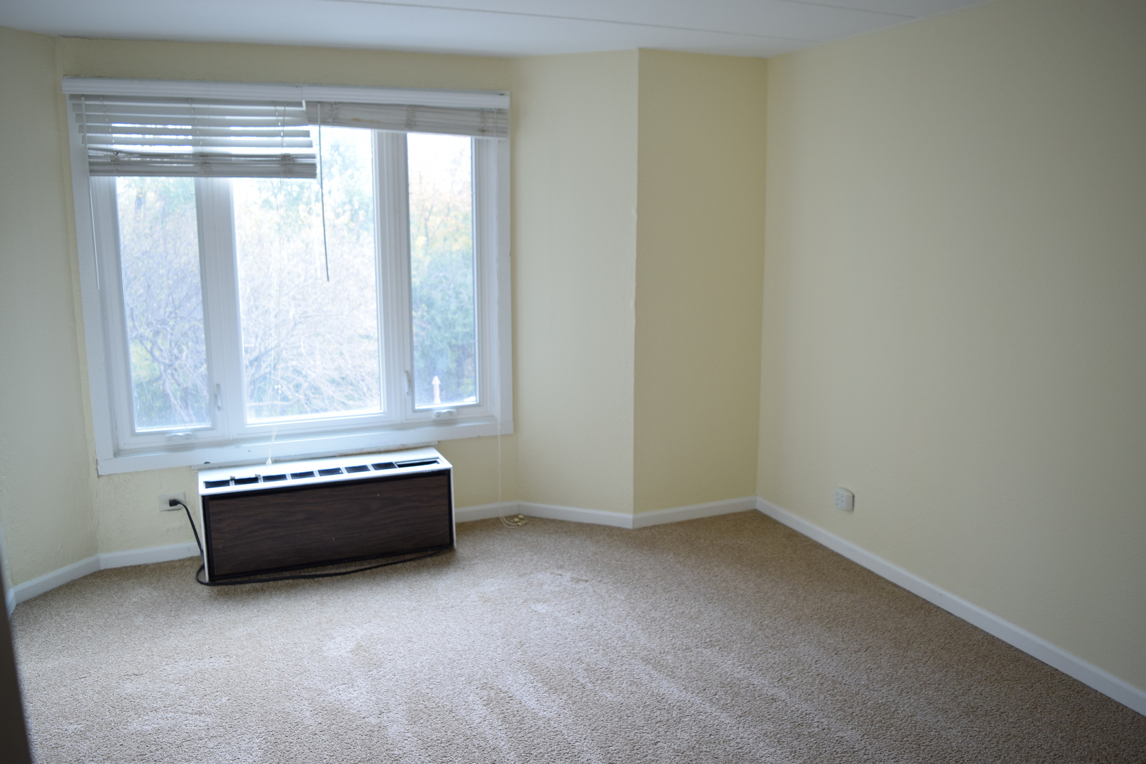 1 Renaissance Place, Unit 207 Palatine, IL 60067 - Photo 8 of 17