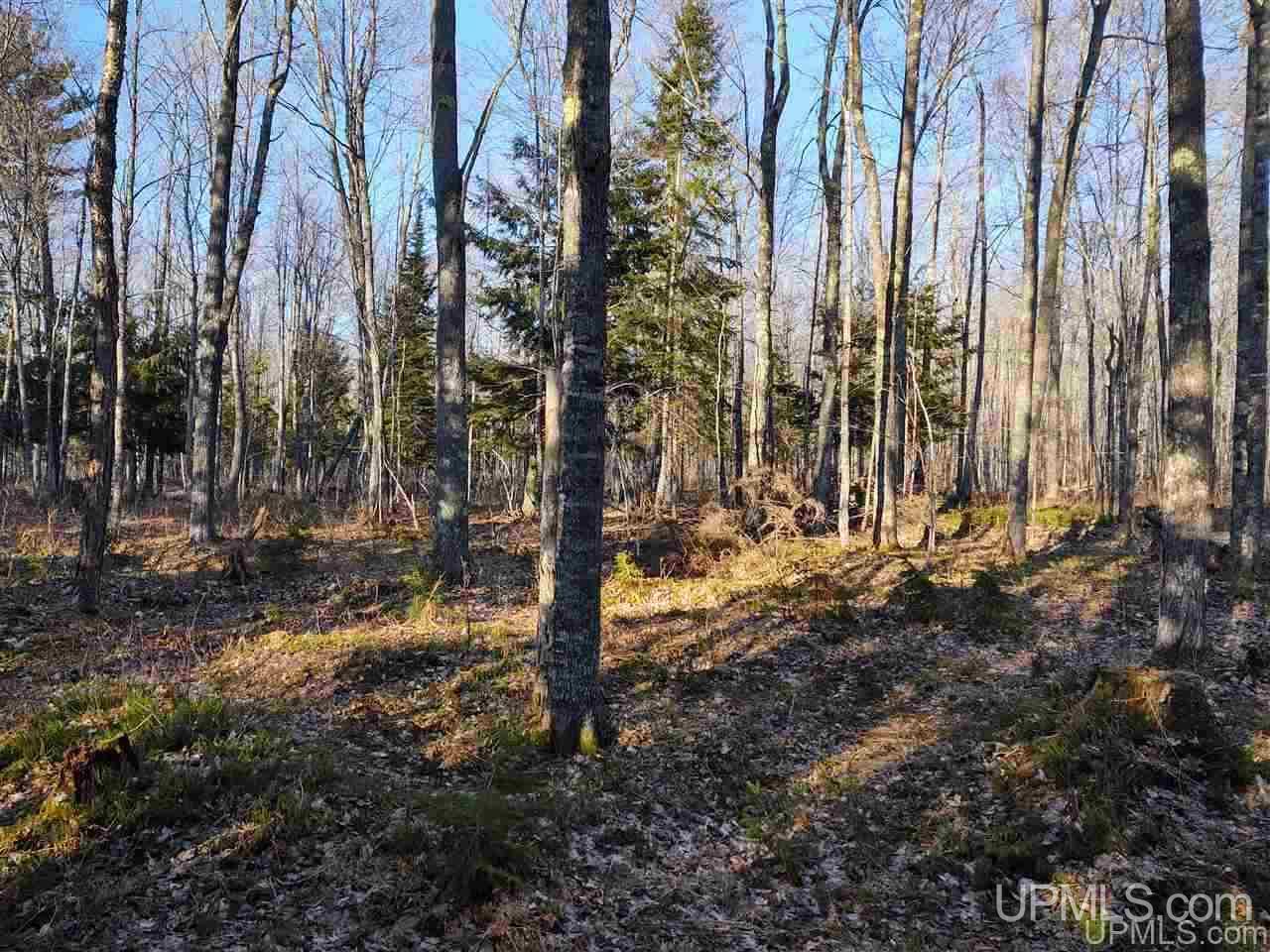 Tbd Sandstone B Road Lake Linden, MI 49945 - Photo 24 of 50