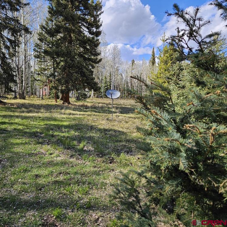 322 Spruce Road Cimarron, CO 81220 - Photo 2 of 23