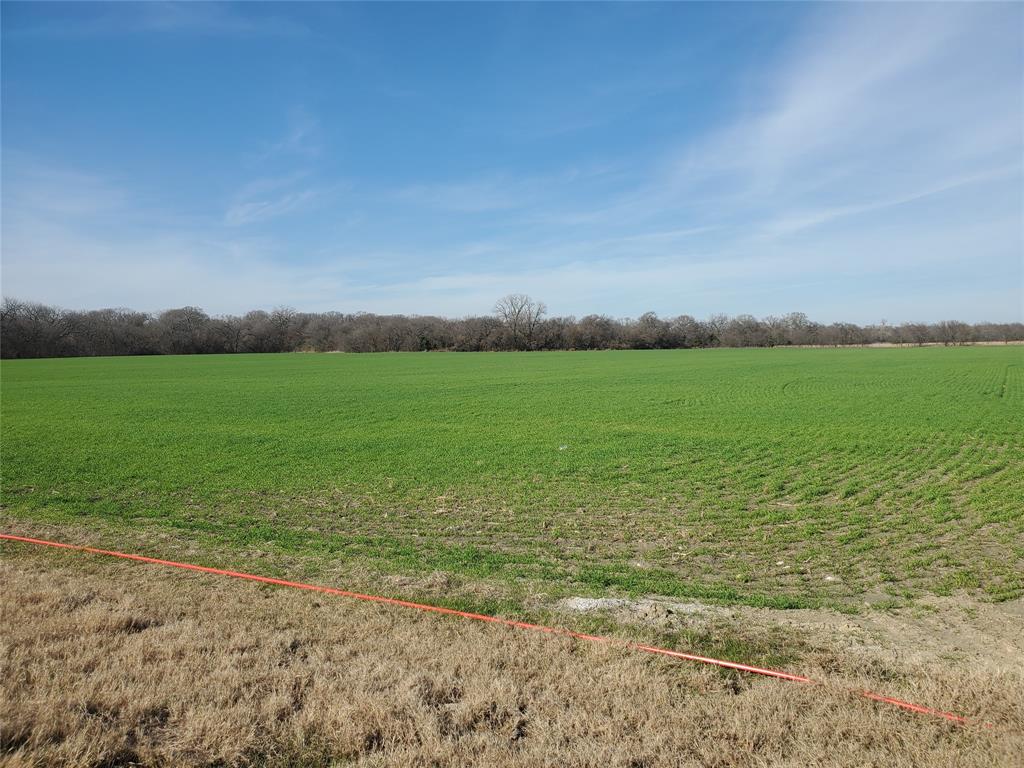 a view of a field with an ocean
