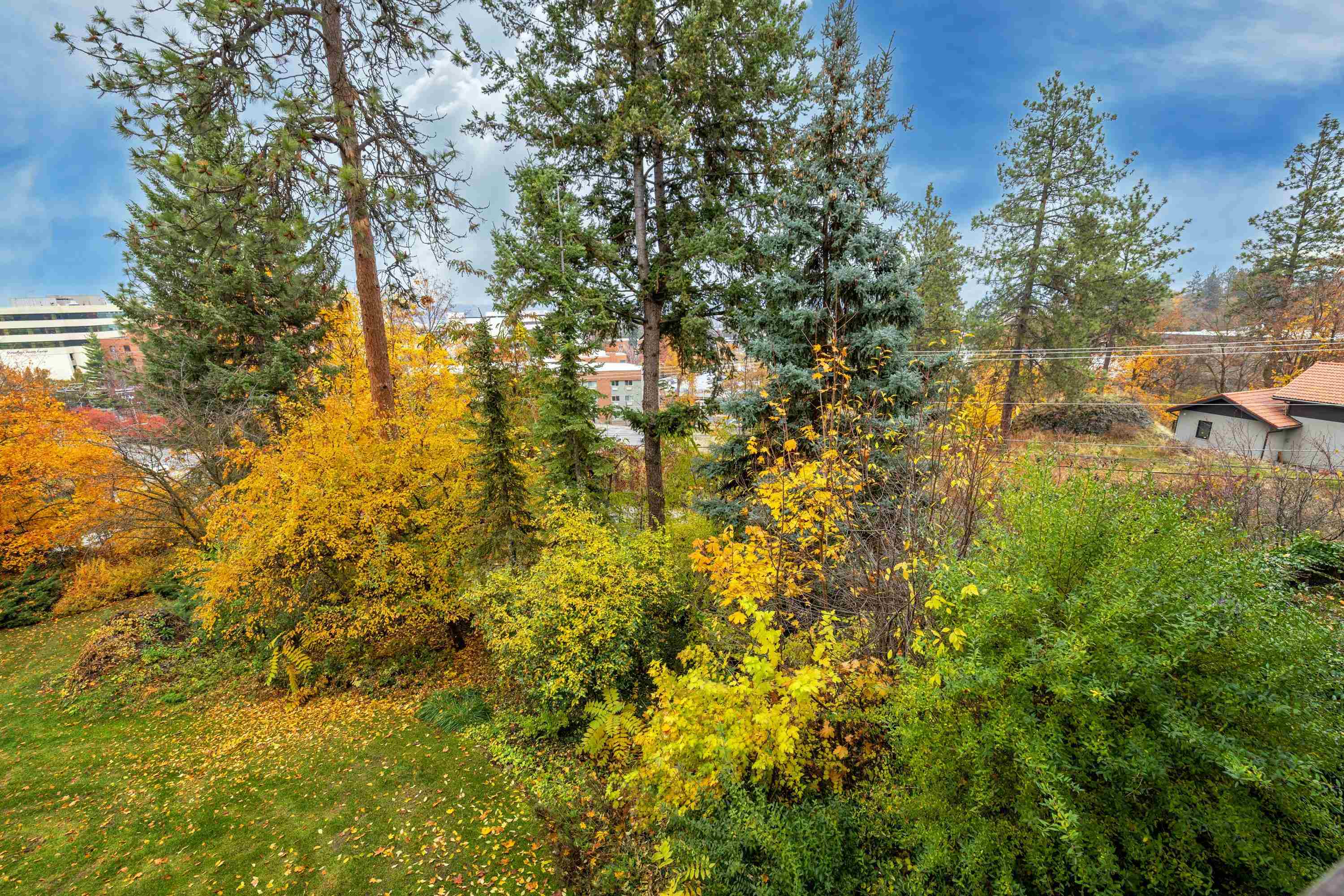 20 West Sumner Avenue, Unit 204 Spokane, WA 99204 - Photo 24 of 27