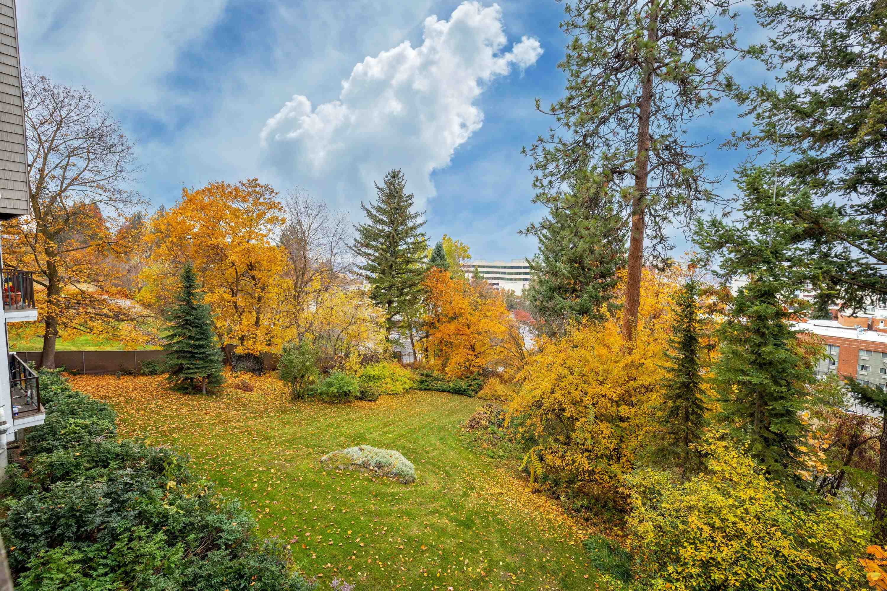 20 West Sumner Avenue, Unit 204 Spokane, WA 99204 - Photo 25 of 27