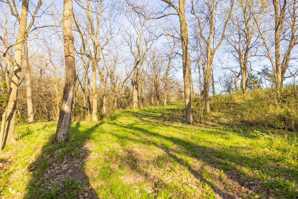 1164 Northwest 271st Road Mayview, MO 64071 - Photo 63 of 75 Gallery Image 63