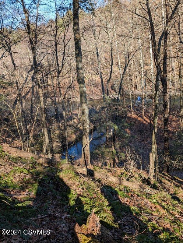 0 State Route 239 Road Huntington Mills, PA 18622 - Photo 5 of 10 Gallery Image 5