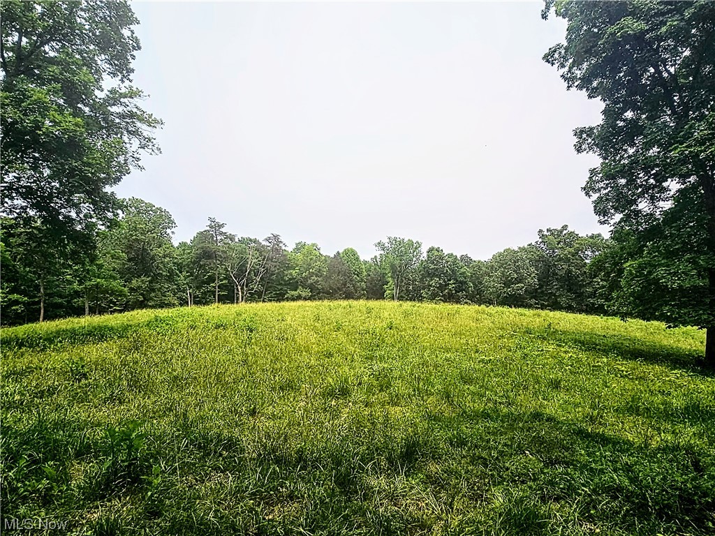 0 Buck Road Leon, WV 25123 - Photo 2 of 25