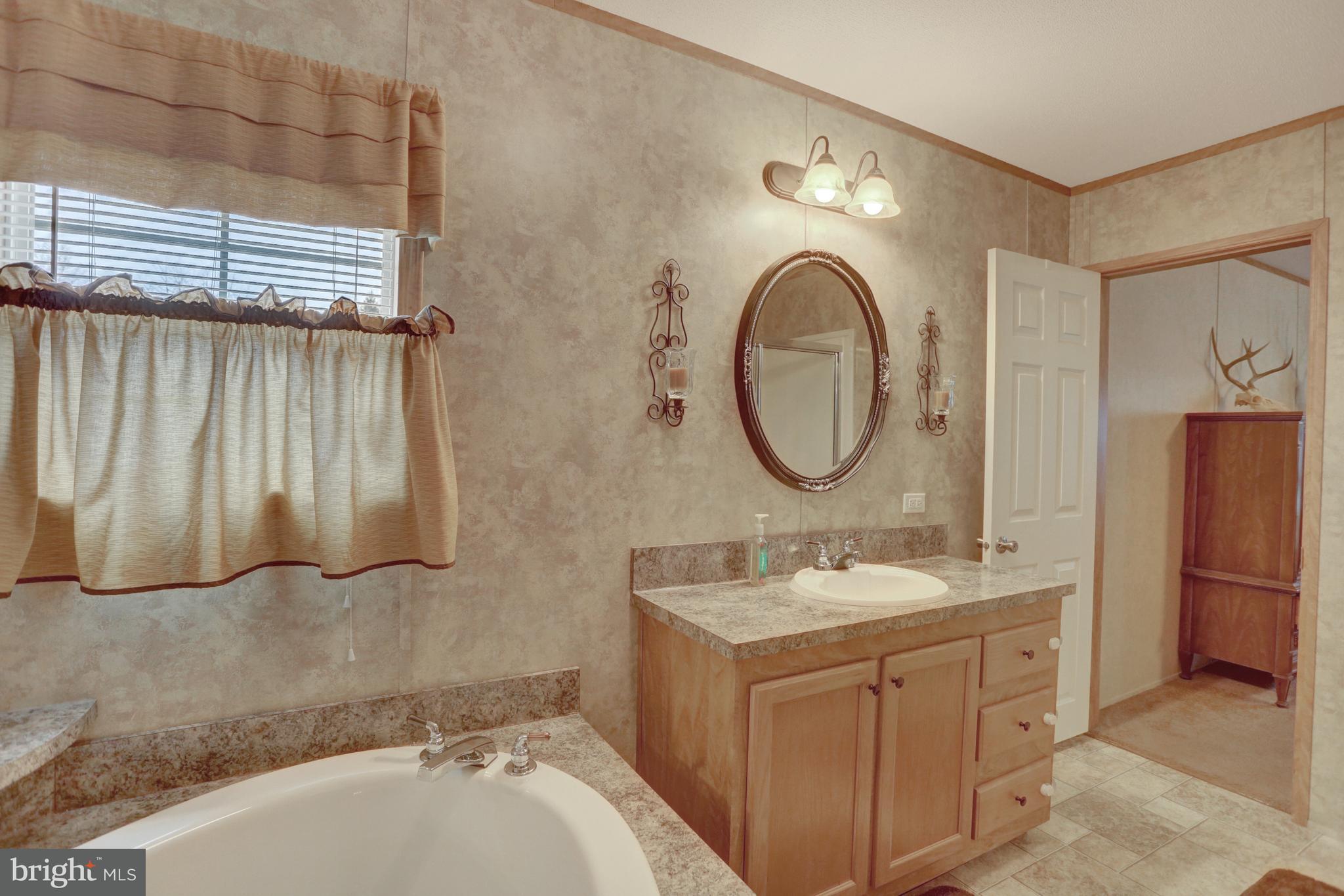 285 Hunters Valley Road Liverpool, PA 17045 - Photo 20 of 35 Master bath