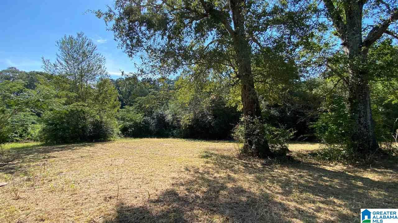 13684 Johns Road Vance, AL 35490 - Photo 8 of 18