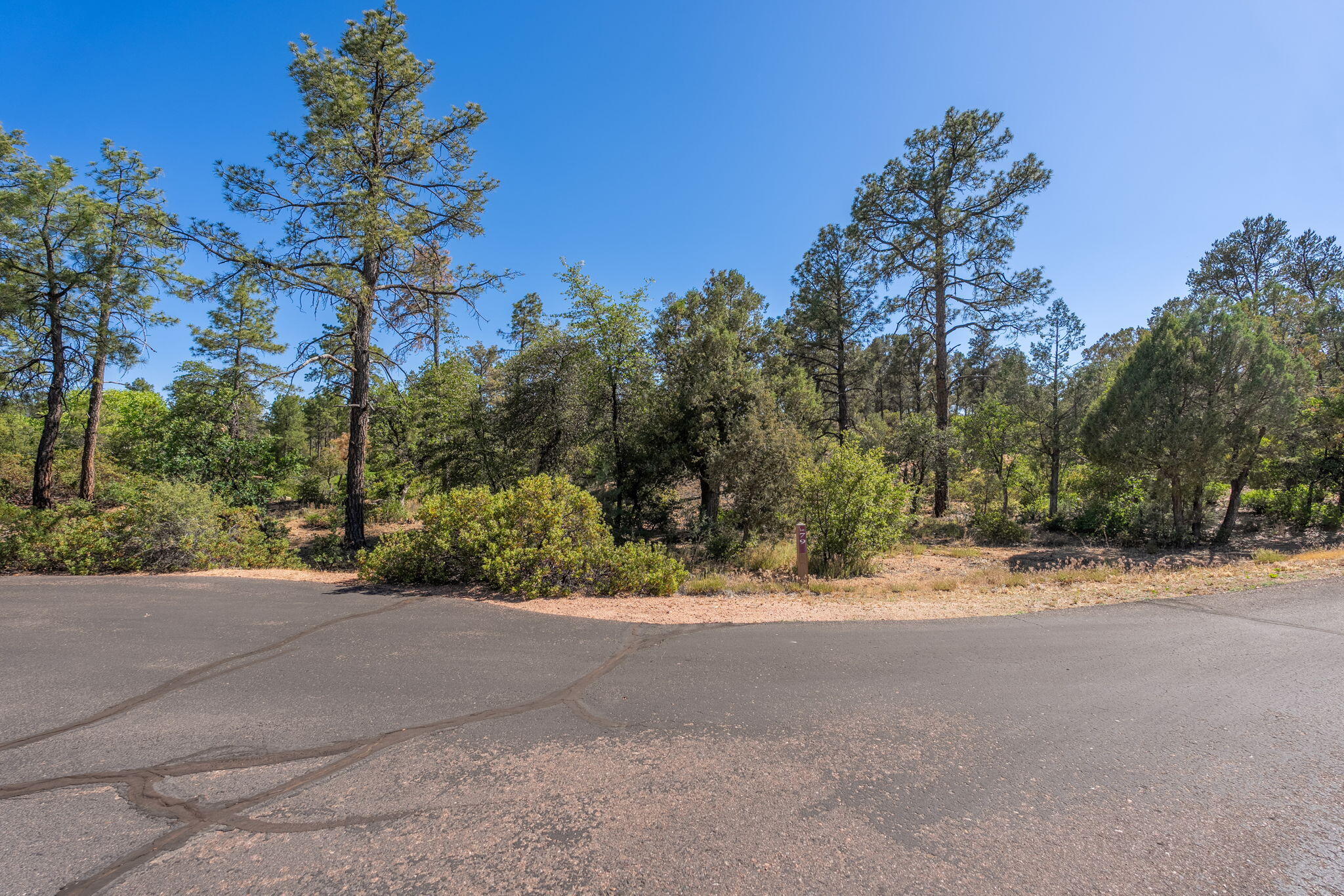 506 South Primeval Payson, AZ 85541 - Photo 2 of 48
