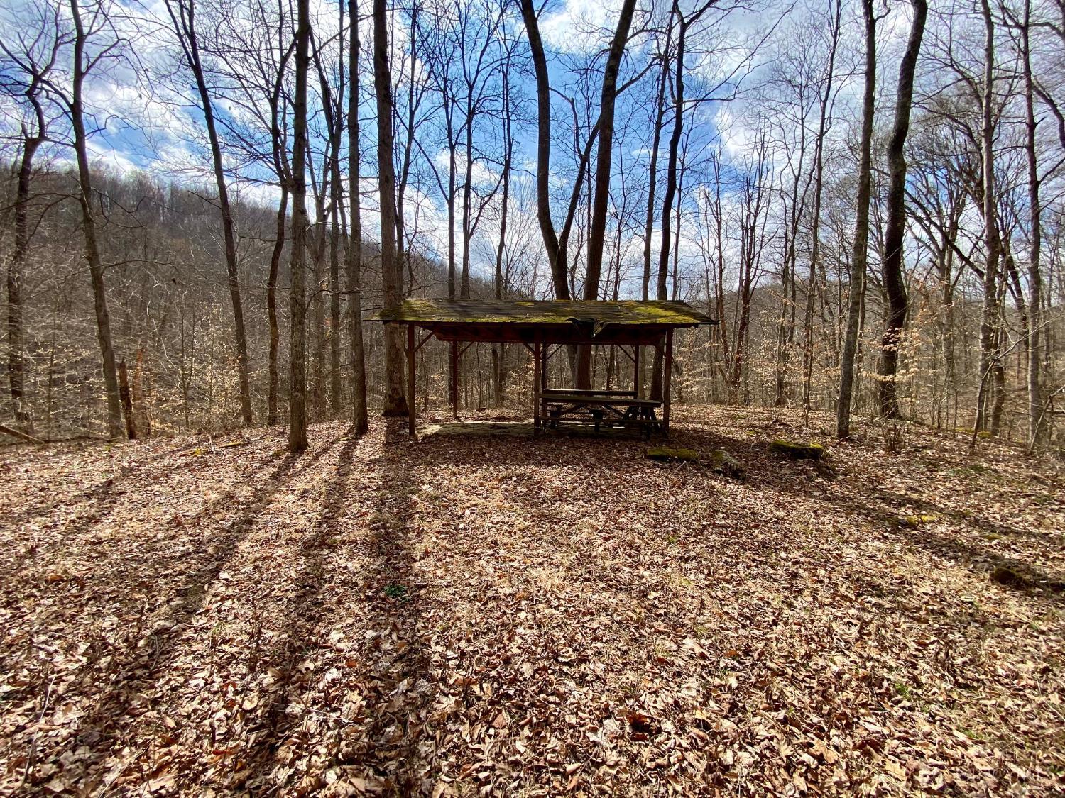 Ac Beech Fork Road Peebles, OH 45660 - Photo 12 of 49
