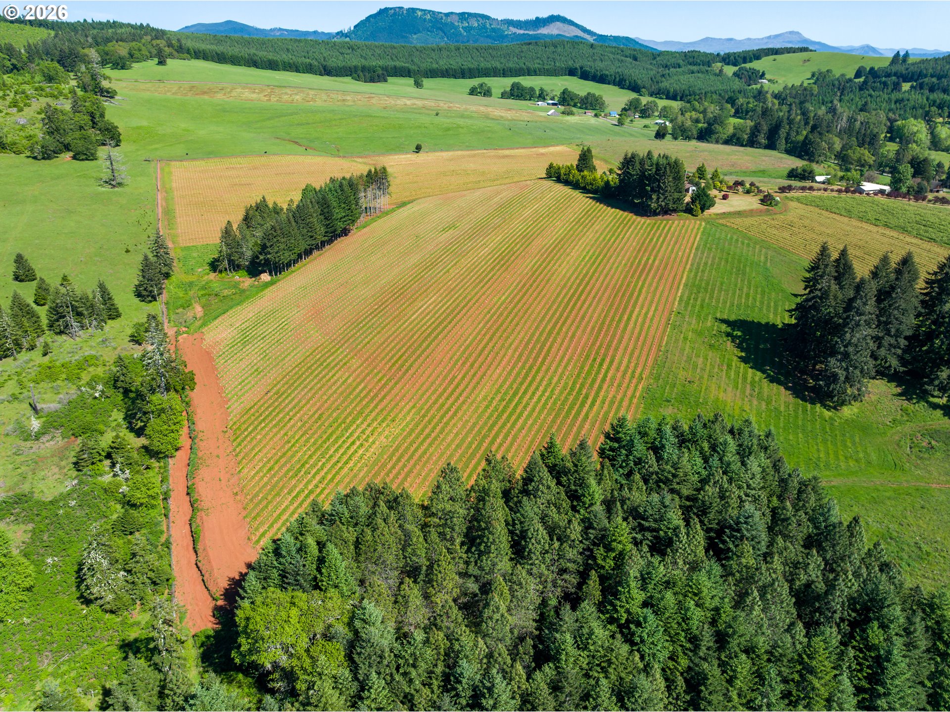 1488 Red Hill Road Oakland, OR 97462 - Photo 46 of 48