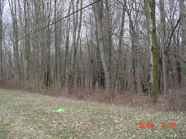 Lot 1 Gambier Rd Mount Mount Vernon, OH 43050 - Photo 2 of 3
