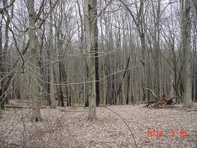 Lot 1 Gambier Rd Mount Mount Vernon, OH 43050 - Photo 3 of 3