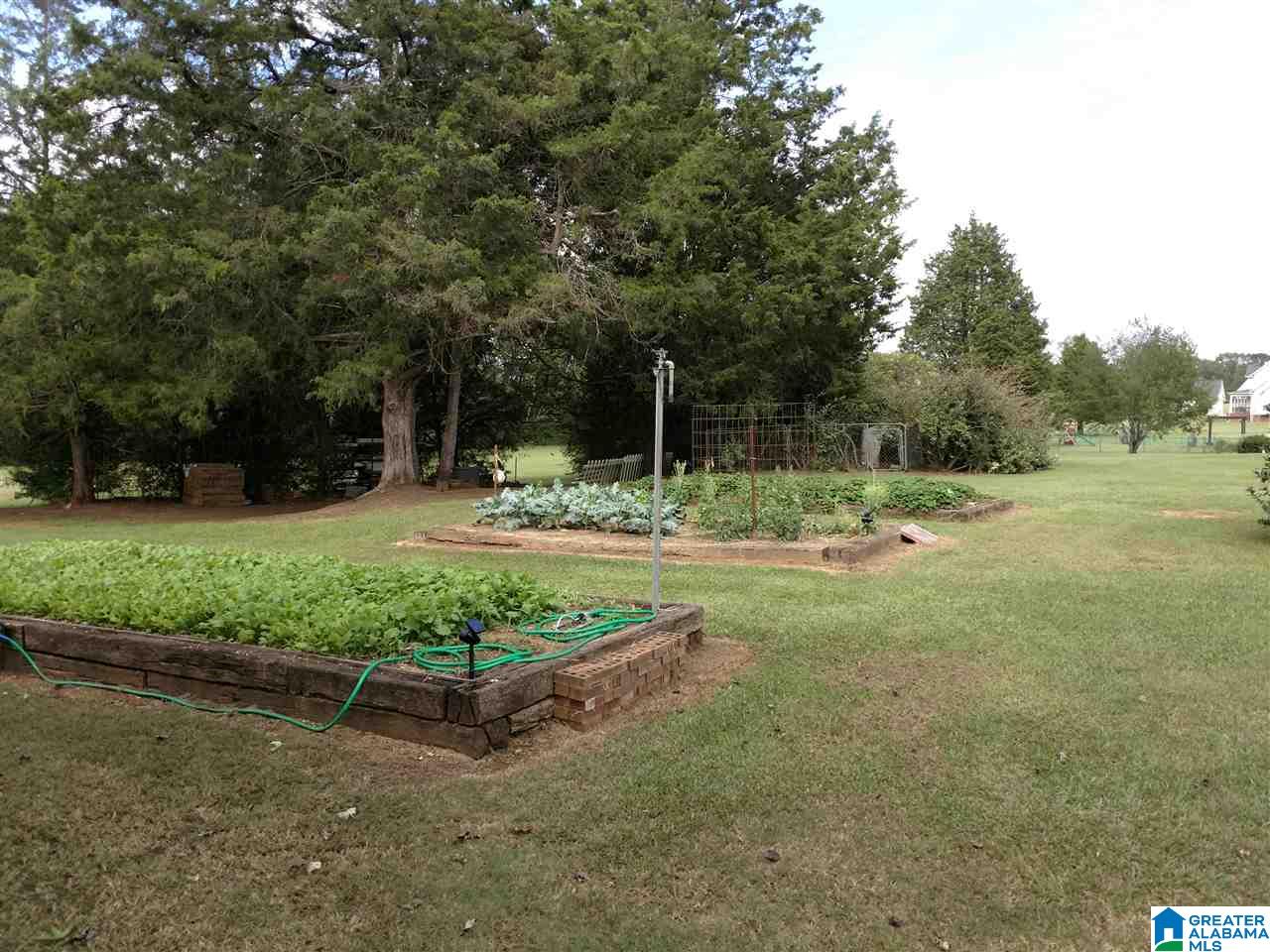 1100 Arco Dairy Road Alpine, AL 35014 - Photo 6 of 30