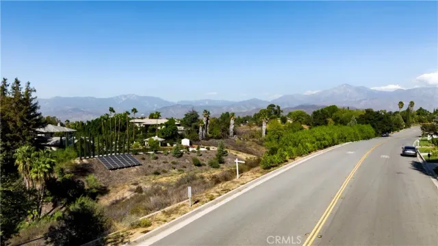 a view of a bunch of trees in a field