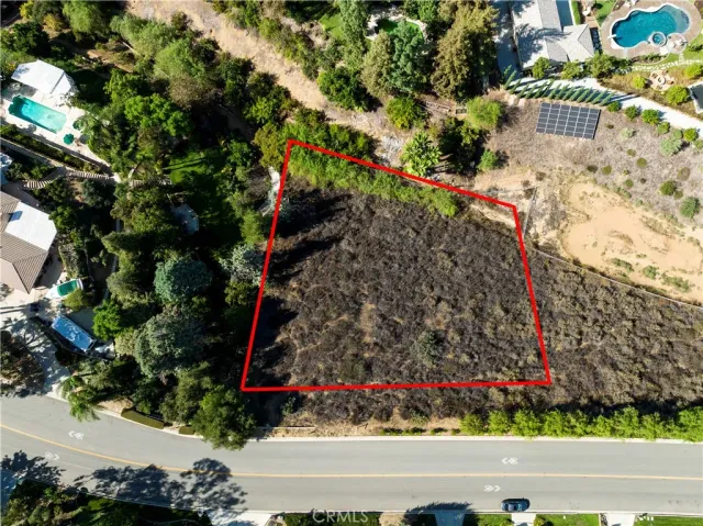 a view of a garden with flowers