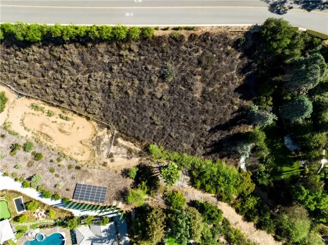 a view of a yard with plants
