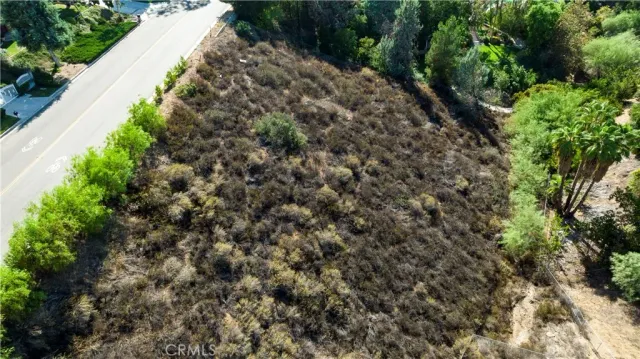 a view of a city with lush green forest