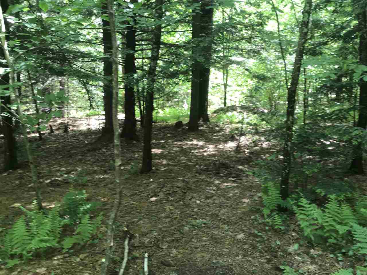 99 Eagle Drive, Unit 237 Rochester, NH 03868 - Photo 18 of 18