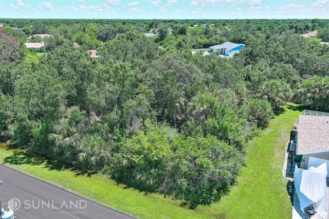 a view of a forest with a houses