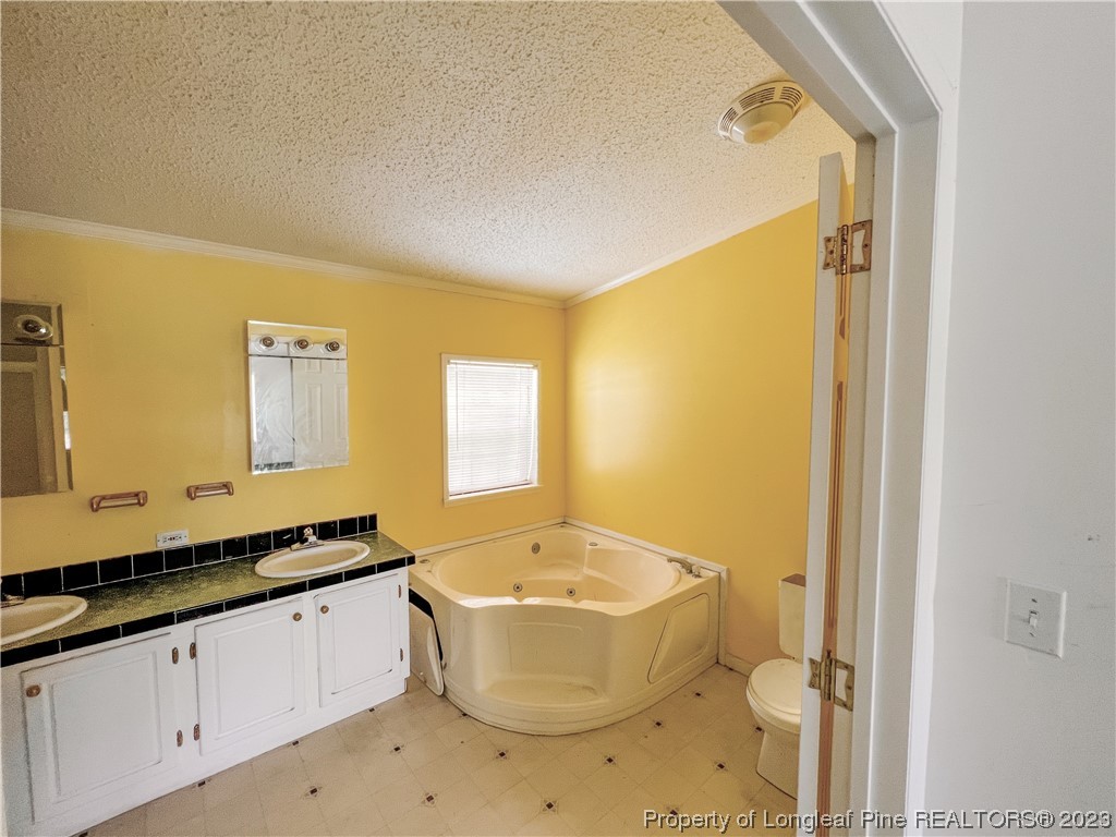74 Decker Road St. Pauls, NC 28384 - Photo 38 of 46 a spacious bathroom with a granite countertop sink and a mirror