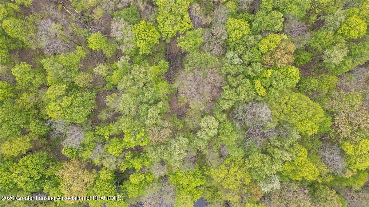 0 Barnes Road Eaton Rapids, MI 48827 - Photo 10 of 14 14-Media Jett - 10