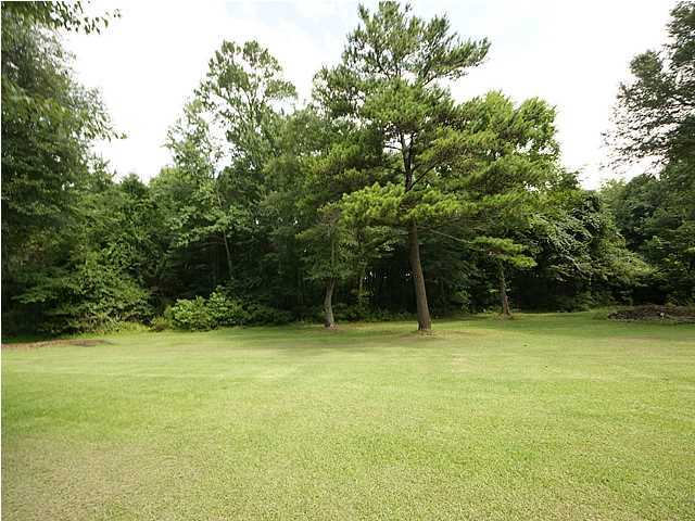 6059 Bay Pond Road Ravenel, SC 29470 - Photo 18 of 21 Additional Photo