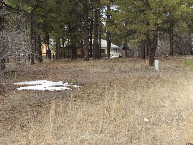 a view of covered with trees