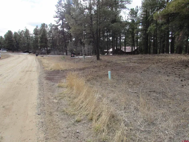 a view of outdoor space with trees