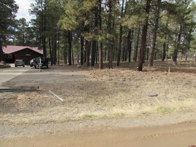 a view of a backyard with large trees