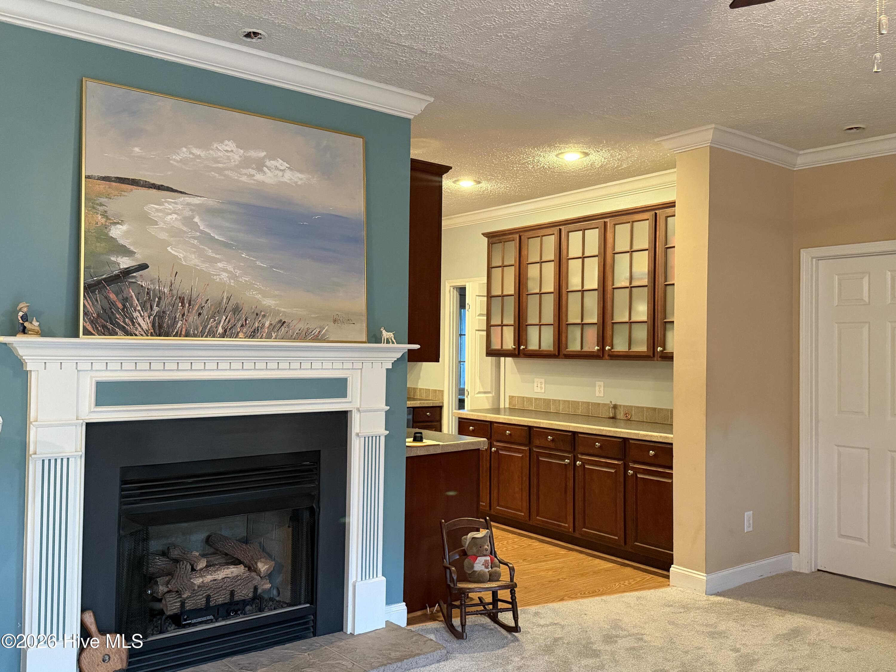 385 Nelson Neck Road Sealevel, NC 28577 - Photo 4 of 13 Gas Log FP in Living Rm