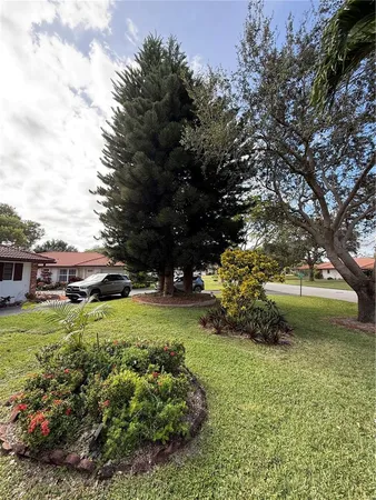 a view of a garden with large trees