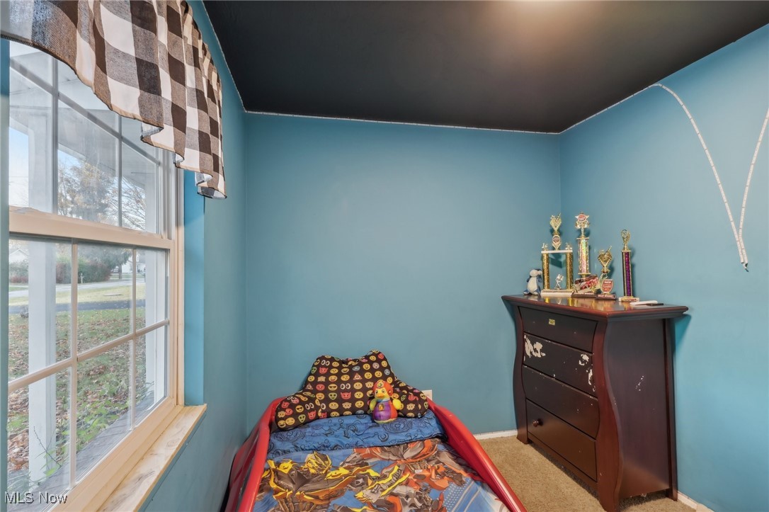 167 Birch Road Painesville, OH 44077 - Photo 17 of 49 Carpeted bedroom with vaulted ceiling