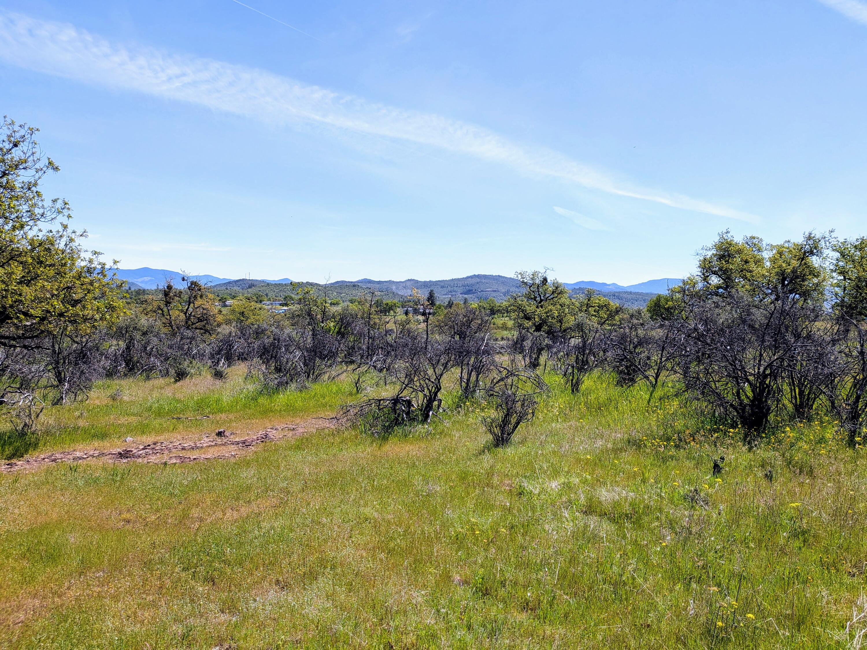 Stevens Road, Unit 100 Eagle Point, OR 97524 - Photo 7 of 15