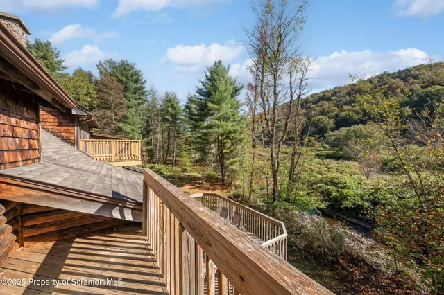 a view of a yard with plants and trees