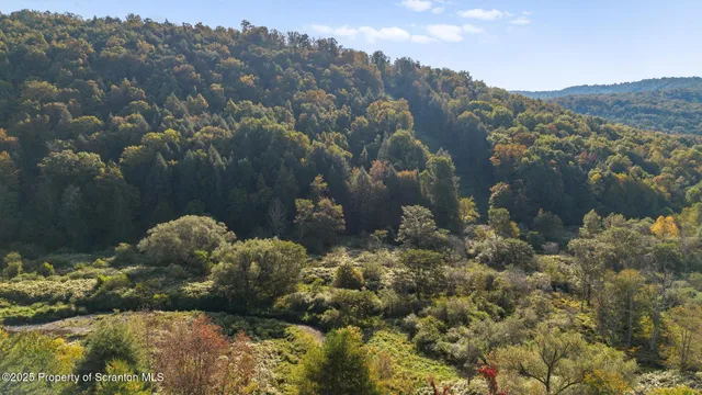 $674,000 | 14088 Highway 92, Thompson, PA 18465