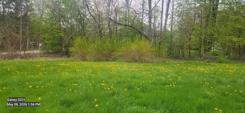 91 Central Tree Road Rutland, MA 01543 - Photo 2 of 6 Gallery Image 2