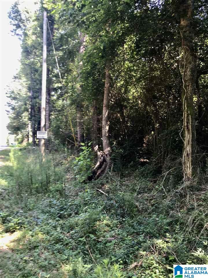 0 Davis Acres Drive, Unit 18 Alpine, AL 35014 - Photo 6 of 11