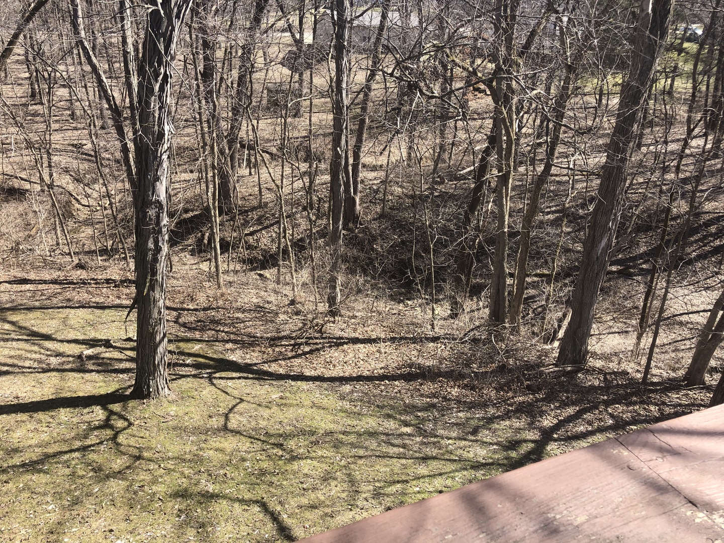 2174 Lowell Park Road Dixon, IL 61021 - Photo 13 of 15